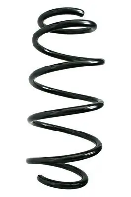 Fahrwerksfeder Vorderachse SPIDAN 85905