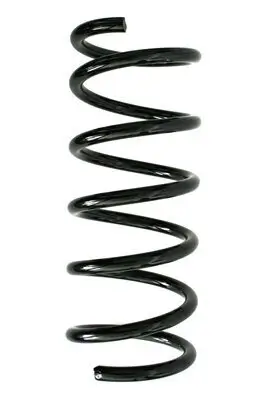 Fahrwerksfeder Hinterachse SPIDAN 85908