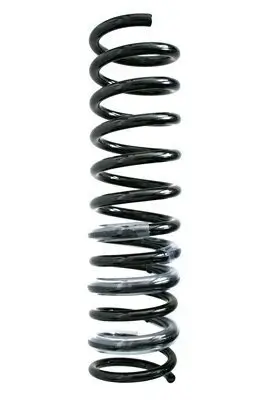 Fahrwerksfeder Hinterachse SPIDAN 85914