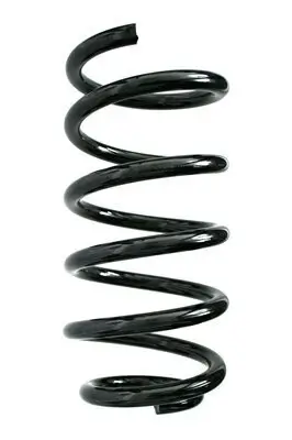 Fahrwerksfeder Hinterachse SPIDAN 85928
