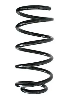 Fahrwerksfeder Hinterachse SPIDAN 85929