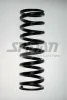 Fahrwerksfeder Vorderachse SPIDAN 85941