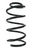 Fahrwerksfeder Vorderachse SPIDAN 85943