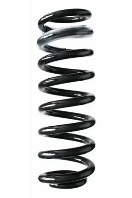 Fahrwerksfeder Hinterachse SPIDAN 85950