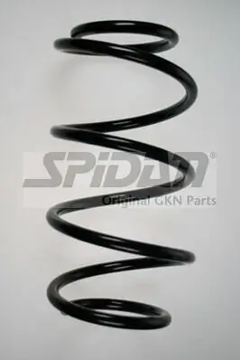 Fahrwerksfeder Vorderachse SPIDAN 85957