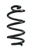Fahrwerksfeder Hinterachse SPIDAN 85960