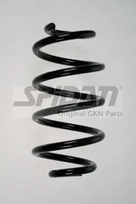 Fahrwerksfeder Hinterachse SPIDAN 85973