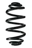 Fahrwerksfeder Hinterachse SPIDAN 85988