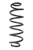 Fahrwerksfeder Hinterachse SPIDAN 86329
