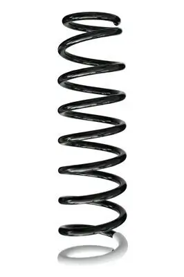 Fahrwerksfeder Hinterachse SPIDAN 86398