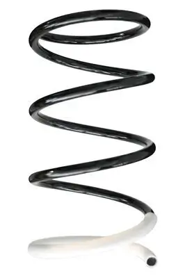 Fahrwerksfeder Vorderachse SPIDAN 86406