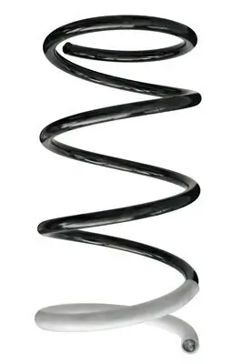 Fahrwerksfeder Vorderachse SPIDAN 86411
