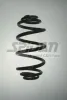 Fahrwerksfeder Hinterachse SPIDAN 86435