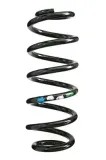 Fahrwerksfeder Hinterachse SPIDAN 86469