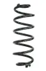 Fahrwerksfeder Hinterachse SPIDAN 86538
