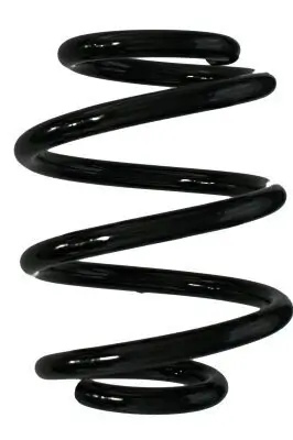 Fahrwerksfeder Hinterachse SPIDAN 86547