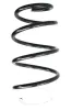 Fahrwerksfeder Vorderachse SPIDAN 86569