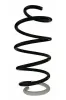 Fahrwerksfeder Vorderachse SPIDAN 86580