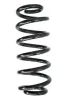 Fahrwerksfeder Vorderachse SPIDAN 86588