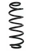 Fahrwerksfeder Hinterachse SPIDAN 86603