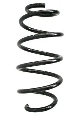 Fahrwerksfeder Vorderachse SPIDAN 86613