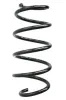 Fahrwerksfeder Hinterachse SPIDAN 86621