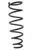 Fahrwerksfeder Hinterachse SPIDAN 86631