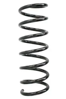 Fahrwerksfeder Hinterachse SPIDAN 86667