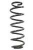 Fahrwerksfeder Hinterachse SPIDAN 86675
