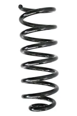 Fahrwerksfeder Hinterachse SPIDAN 86705