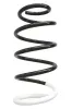 Fahrwerksfeder Vorderachse SPIDAN 86709