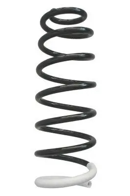 Fahrwerksfeder Hinterachse SPIDAN 86714
