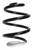 Fahrwerksfeder Hinterachse SPIDAN 86721