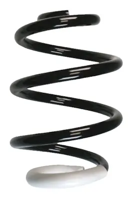 Fahrwerksfeder Hinterachse SPIDAN 86721 Bild Fahrwerksfeder Hinterachse SPIDAN 86721