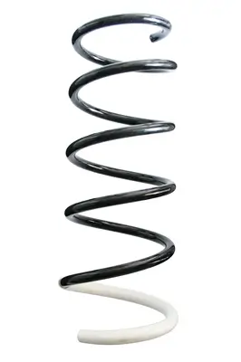 Fahrwerksfeder Vorderachse SPIDAN 86722