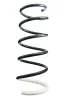 Fahrwerksfeder Vorderachse SPIDAN 86722