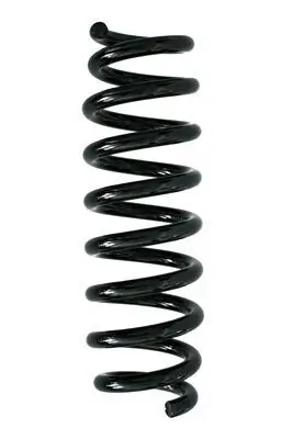 Fahrwerksfeder Hinterachse SPIDAN 86761