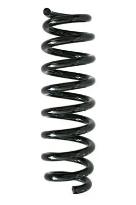 Fahrwerksfeder Hinterachse SPIDAN 86767