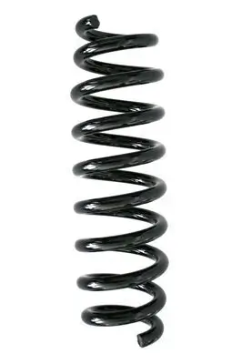 Fahrwerksfeder Hinterachse SPIDAN 86769