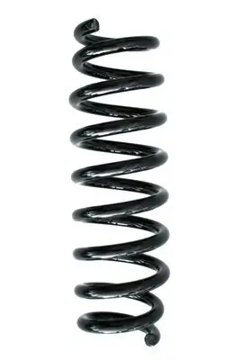 Fahrwerksfeder Hinterachse SPIDAN 86771