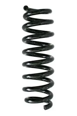 Fahrwerksfeder Hinterachse SPIDAN 86774