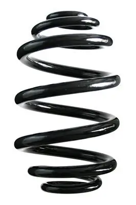 Fahrwerksfeder Hinterachse SPIDAN 86789 Bild Fahrwerksfeder Hinterachse SPIDAN 86789