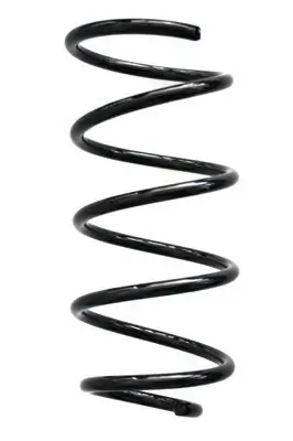 Fahrwerksfeder Vorderachse SPIDAN 86794 Bild Fahrwerksfeder Vorderachse SPIDAN 86794