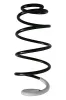 Fahrwerksfeder Vorderachse SPIDAN 86804