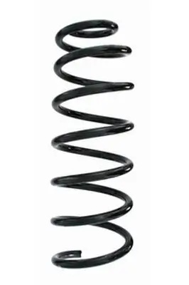 Fahrwerksfeder Hinterachse SPIDAN 86811