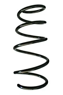 Fahrwerksfeder Vorderachse SPIDAN 86850