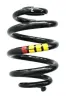 Fahrwerksfeder Hinterachse SPIDAN 86865