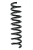 Fahrwerksfeder Hinterachse SPIDAN 86878