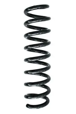 Fahrwerksfeder Hinterachse SPIDAN 86879