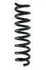 Fahrwerksfeder Hinterachse SPIDAN 86880